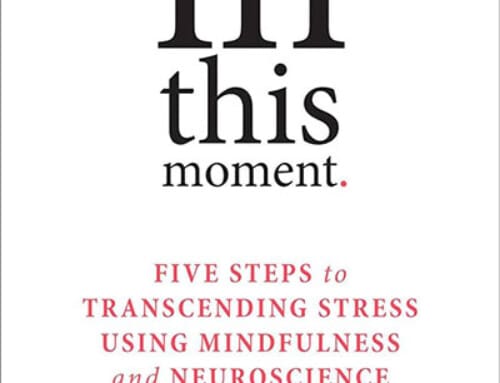 In this moment- Five Steps to Transcending Stress Using Mindfulness and Neuroscience